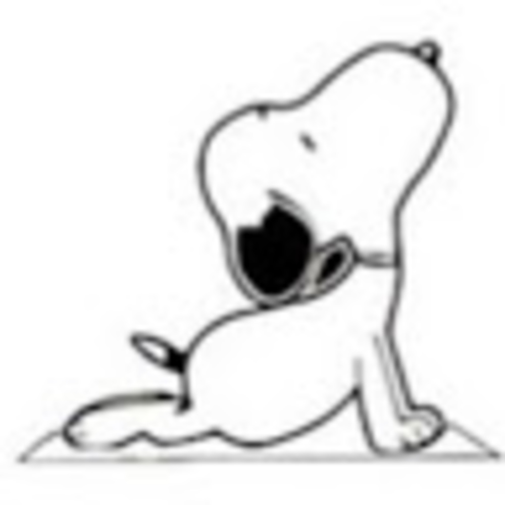 Meet your Posher, Guida